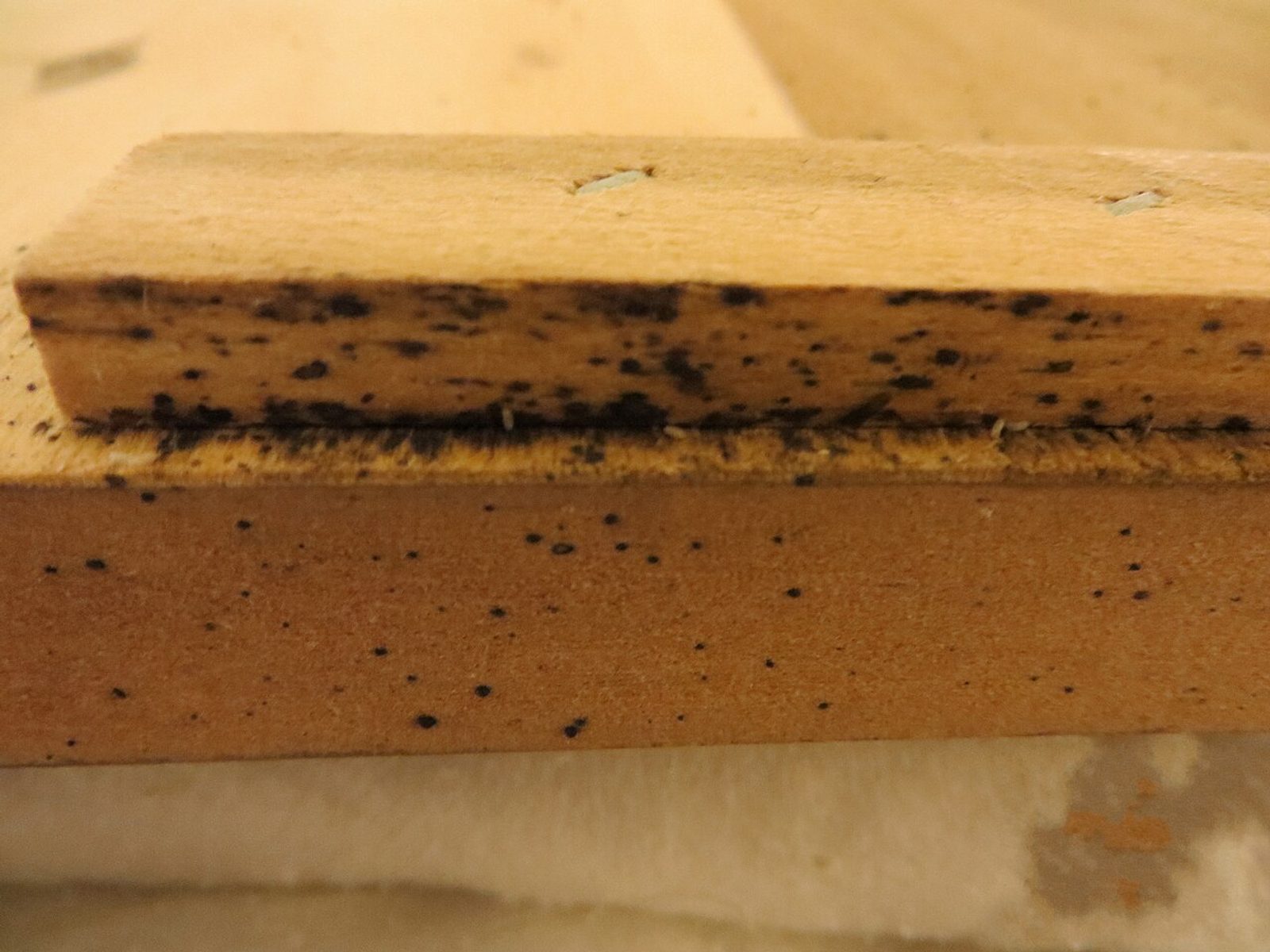 Colchão com manchas pretas de fezes de percevejos de cama e pequenos ovos brancos visíveis na superfície.